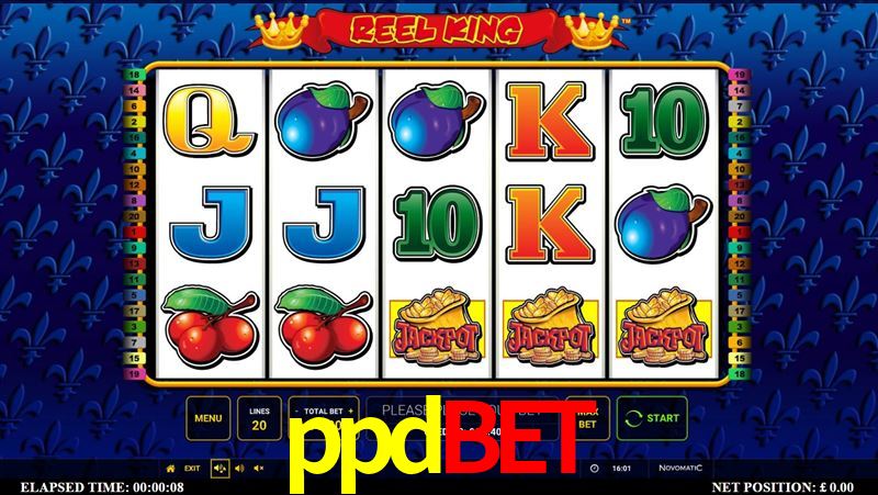 Basketball Betting ppdbet